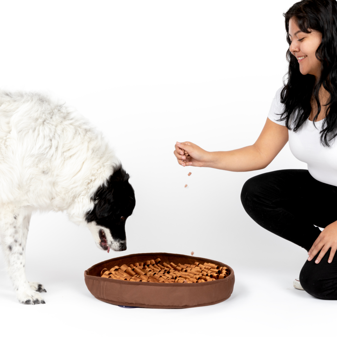 Stimulating Feeder Mat